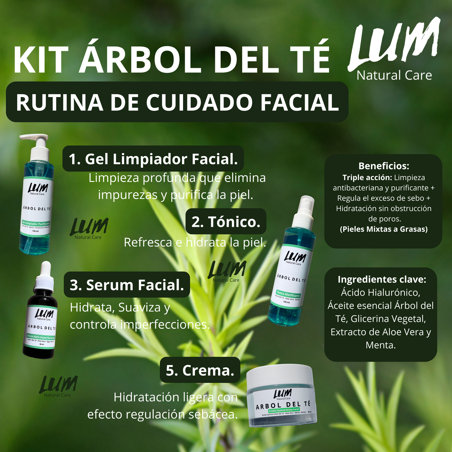 Kit Facial Purificante Árbol del Té AntiAcné