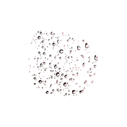 Bruma Facial Agua de Rosas